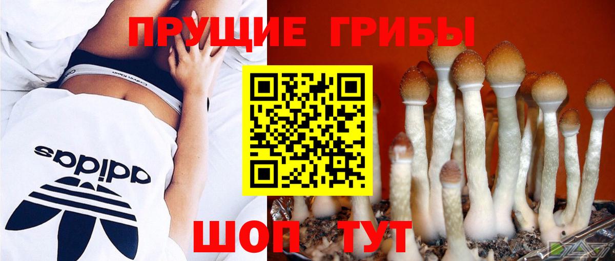 Псилоцибиновые грибы мицелий  Галлюциногенные грибы прущие грибы  Вход с VPN  Избербаш 